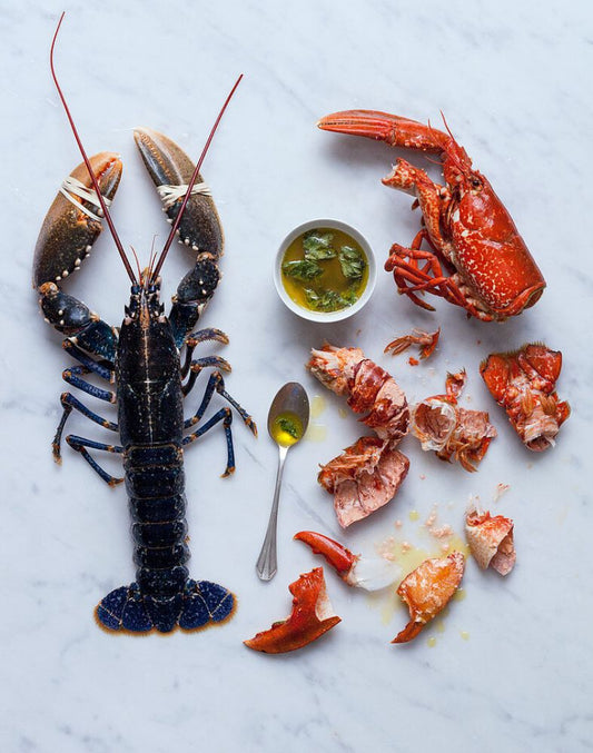 Seafood Lobster Raw
