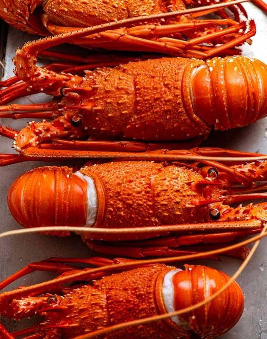 Champagne Crayfish Tails
