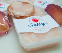 Frozen Abrolhos Island Scallop Meat without Roe 10-20 - 400gm Pack